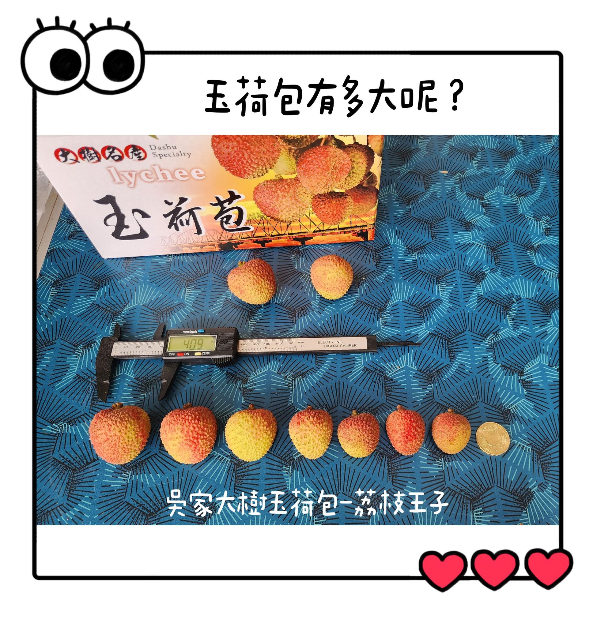 第 2 張